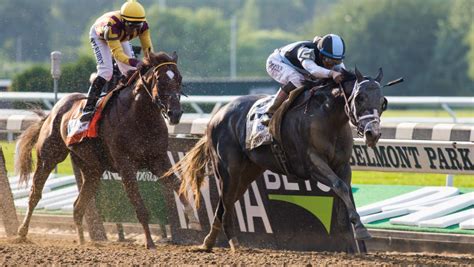 com, your official source for horse racing results, mobile racing data, statistics as well as all other horse racing and thoroughbred racing information. . Equibase delmar entries